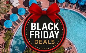 Melia Orlando Celebration